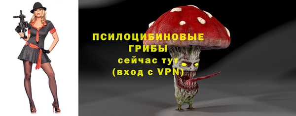 амфетамин Гусь-Хрустальный