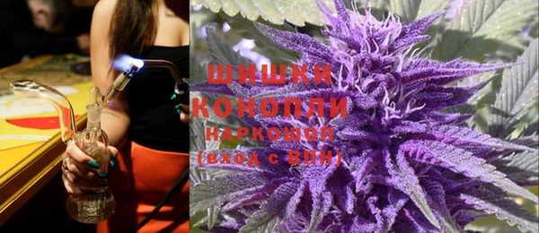 PSILOCYBIN Гусев