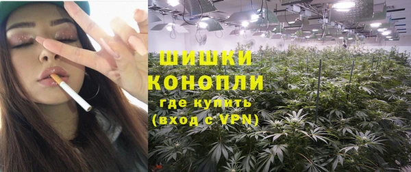 амф Гусиноозёрск