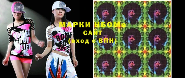 амф Гусиноозёрск