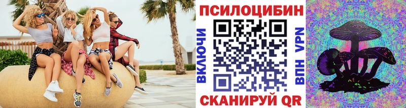 Галлюциногенные грибы мицелий  Купить закладки  Заинск 